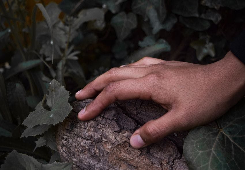 Pexels Benja Molina 3117101