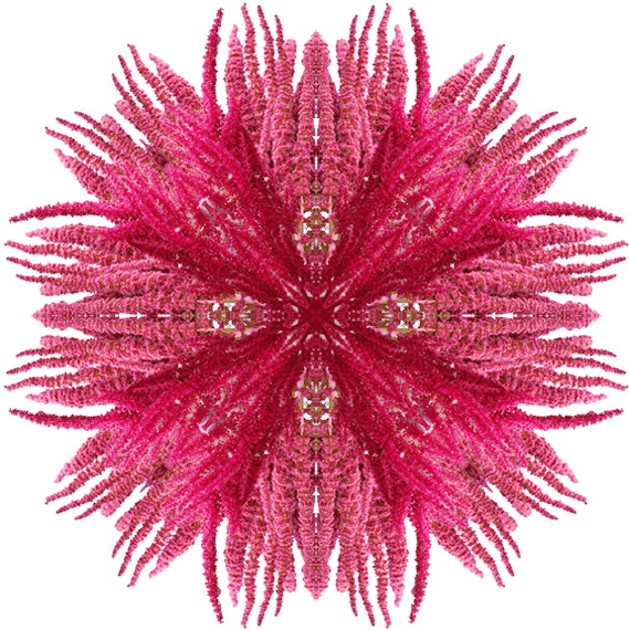 Amaranth